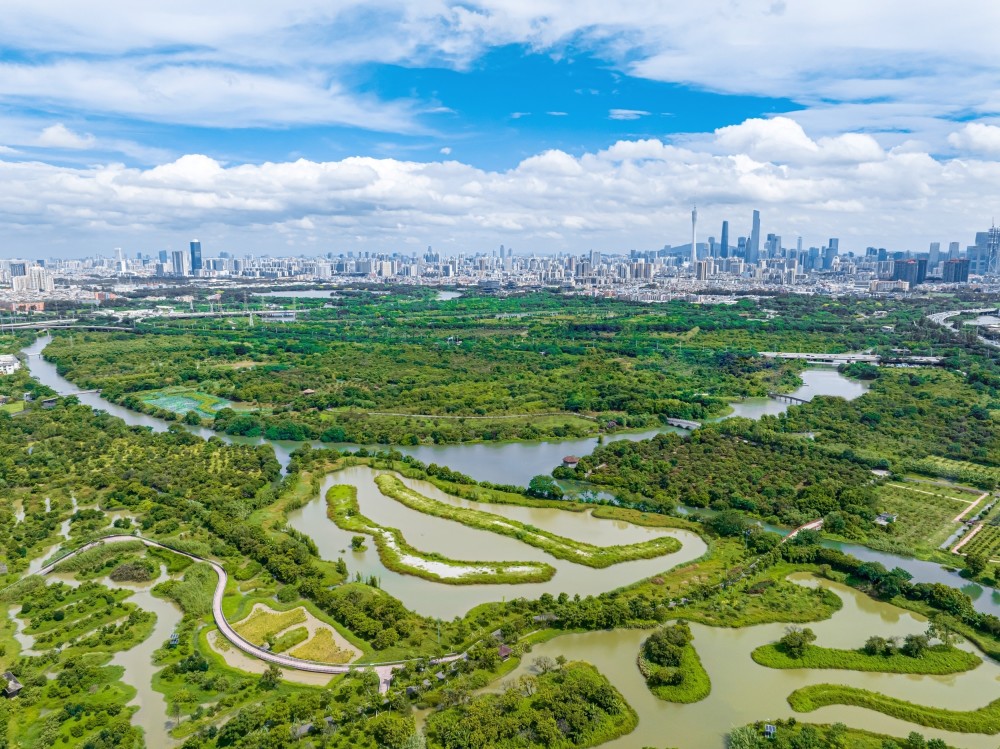 粤看粤美｜来看超大城市中轴线上的国度湿地公园！