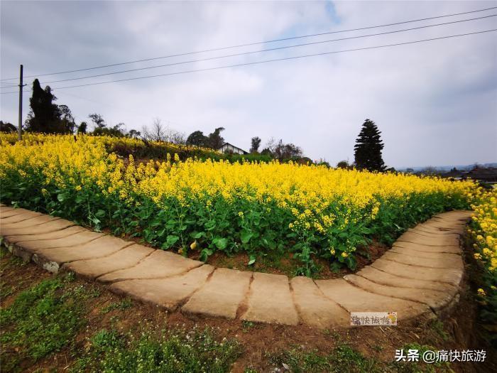 阳春三月，碰见最美的自贡三多寨