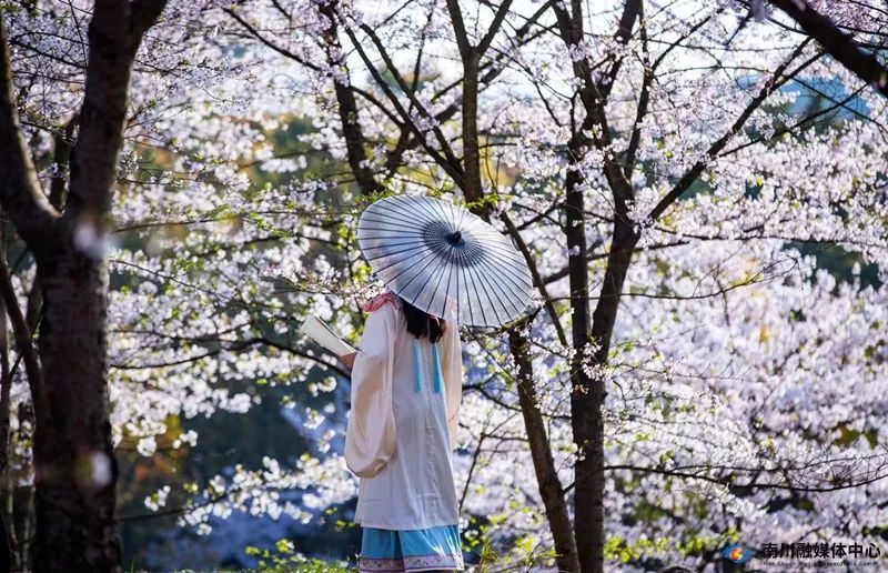 春有约，花不误！快来get√那份南川春日赏花攻略