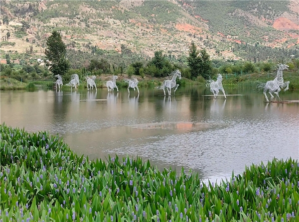 以游APP 保举，比洱海地道，比西湖有趣，那座小城才是实有趣