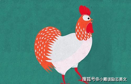 奋力护蛋鸡掩怒，制暴应该要以暴指打一个最佳生肖，词语解释谜底释义落实