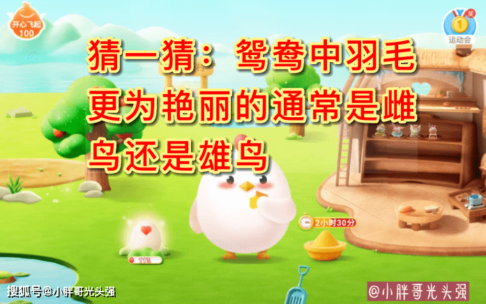 猜一猜：鸳鸯中羽毛更为艳丽的凡是是雌鸟仍是雄鸟？蚂蚁庄园