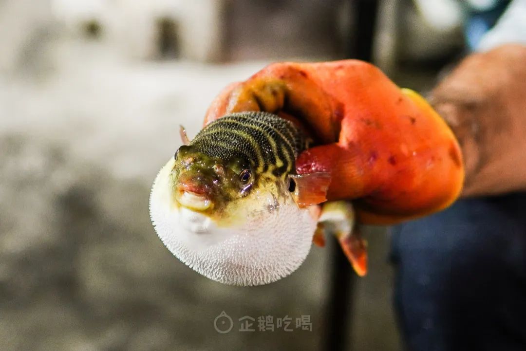 福建美食顶峰，不但是厦门泉州福州。