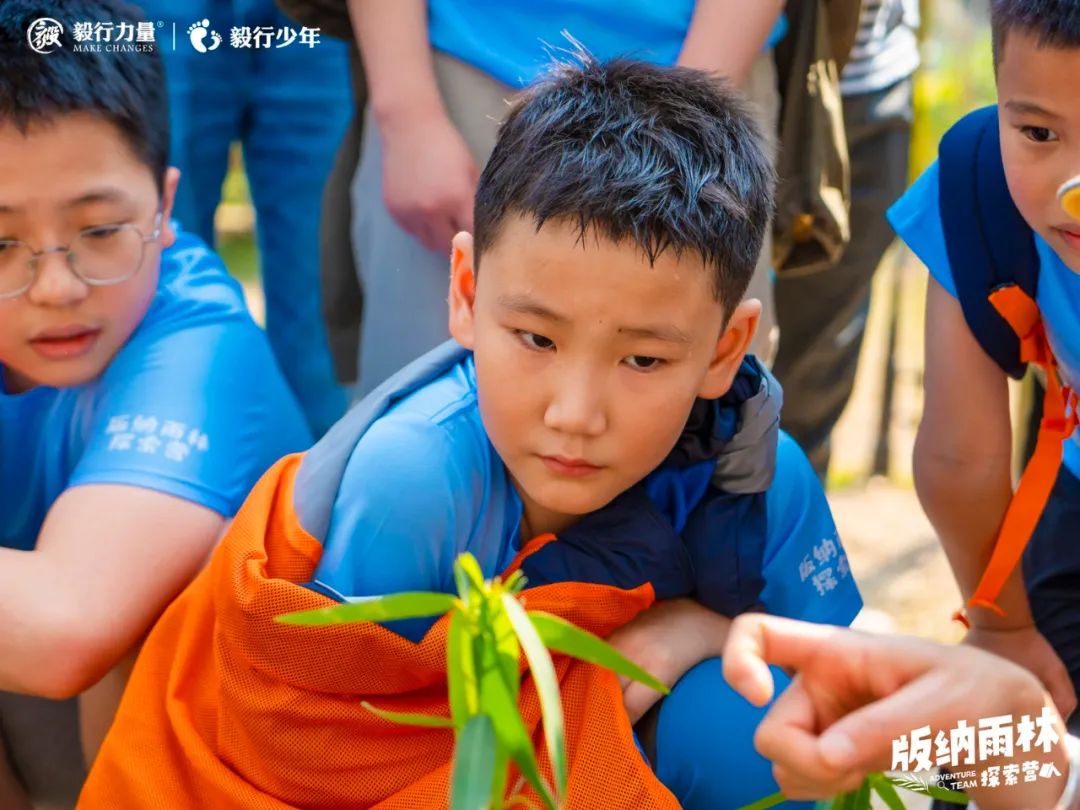 陪你去雨林 | 一群少年摸索家6天5晚西双版纳雨林之旅