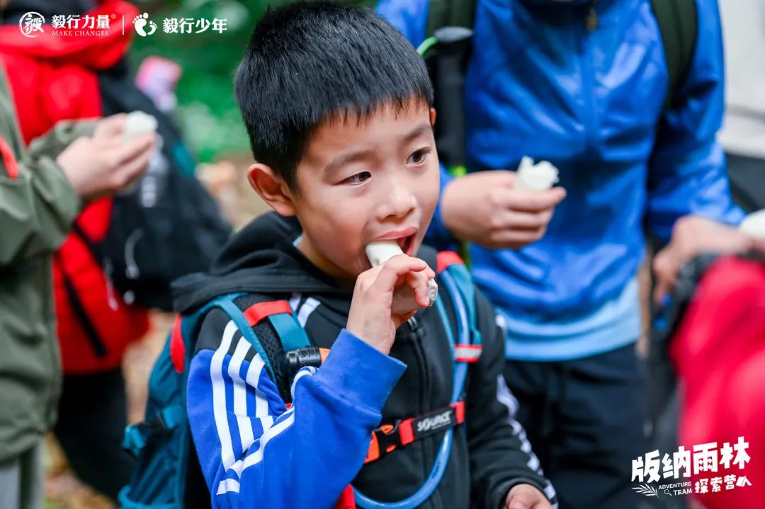 陪你去雨林 | 一群少年摸索家6天5晚西双版纳雨林之旅