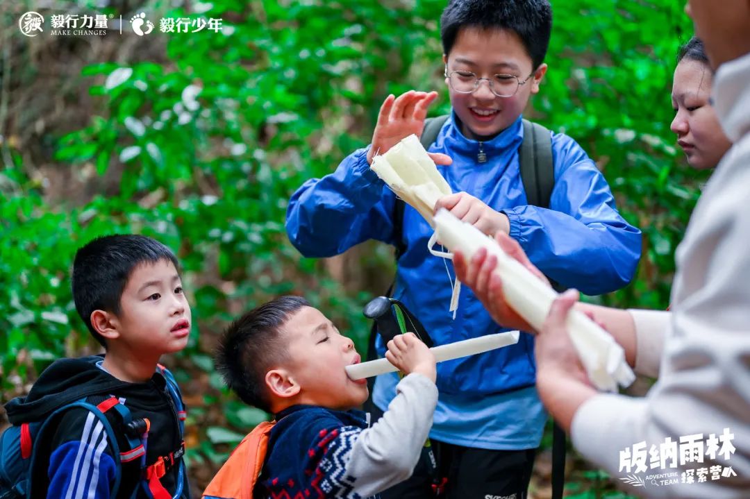 陪你去雨林 | 一群少年摸索家6天5晚西双版纳雨林之旅