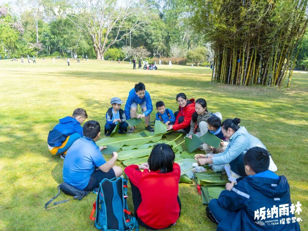 陪你去雨林 | 一群少年摸索家6天5晚西双版纳雨林之旅