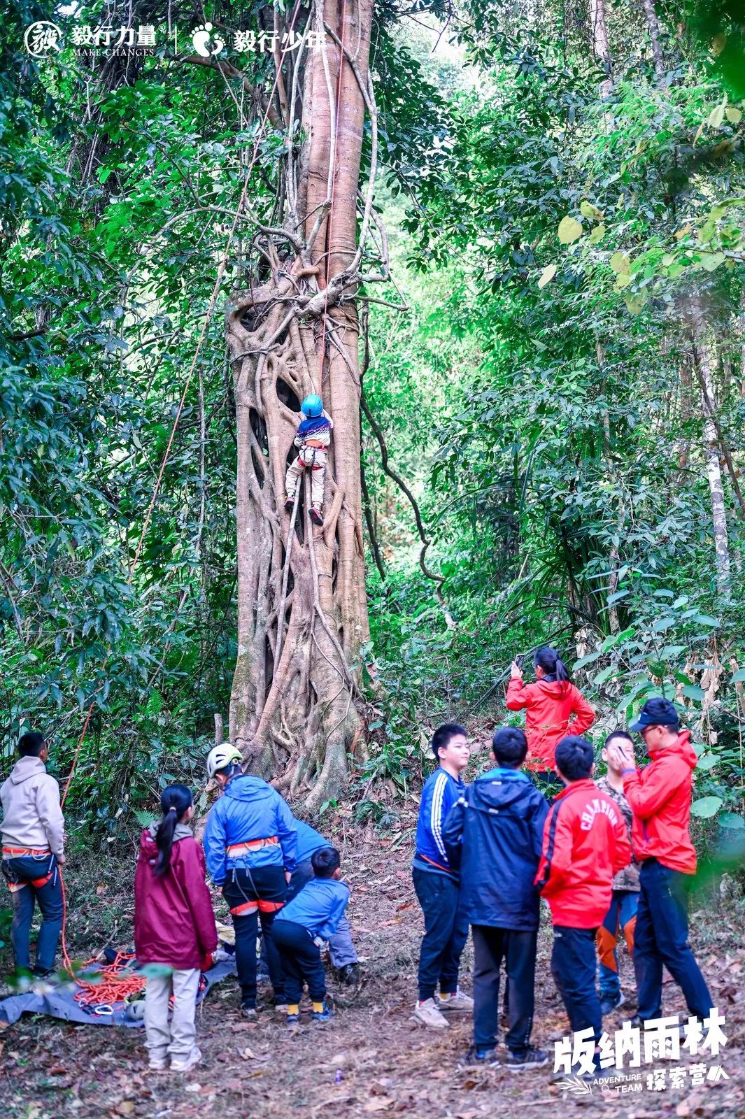 陪你去雨林 | 一群少年摸索家6天5晚西双版纳雨林之旅