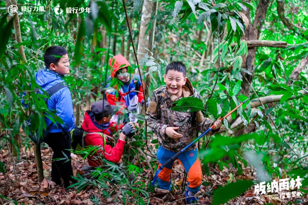 陪你去雨林 | 一群少年摸索家6天5晚西双版纳雨林之旅