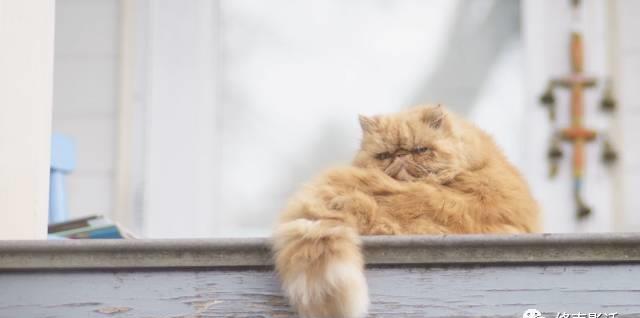 �������ˣ��������ˡ�������Ӱ�����õ��������