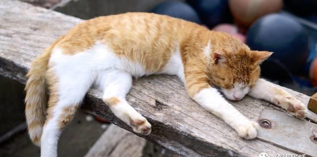 �������ˣ��������ˡ�������Ӱ�����õ��������