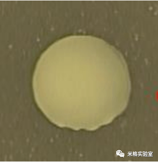 文章配图-11