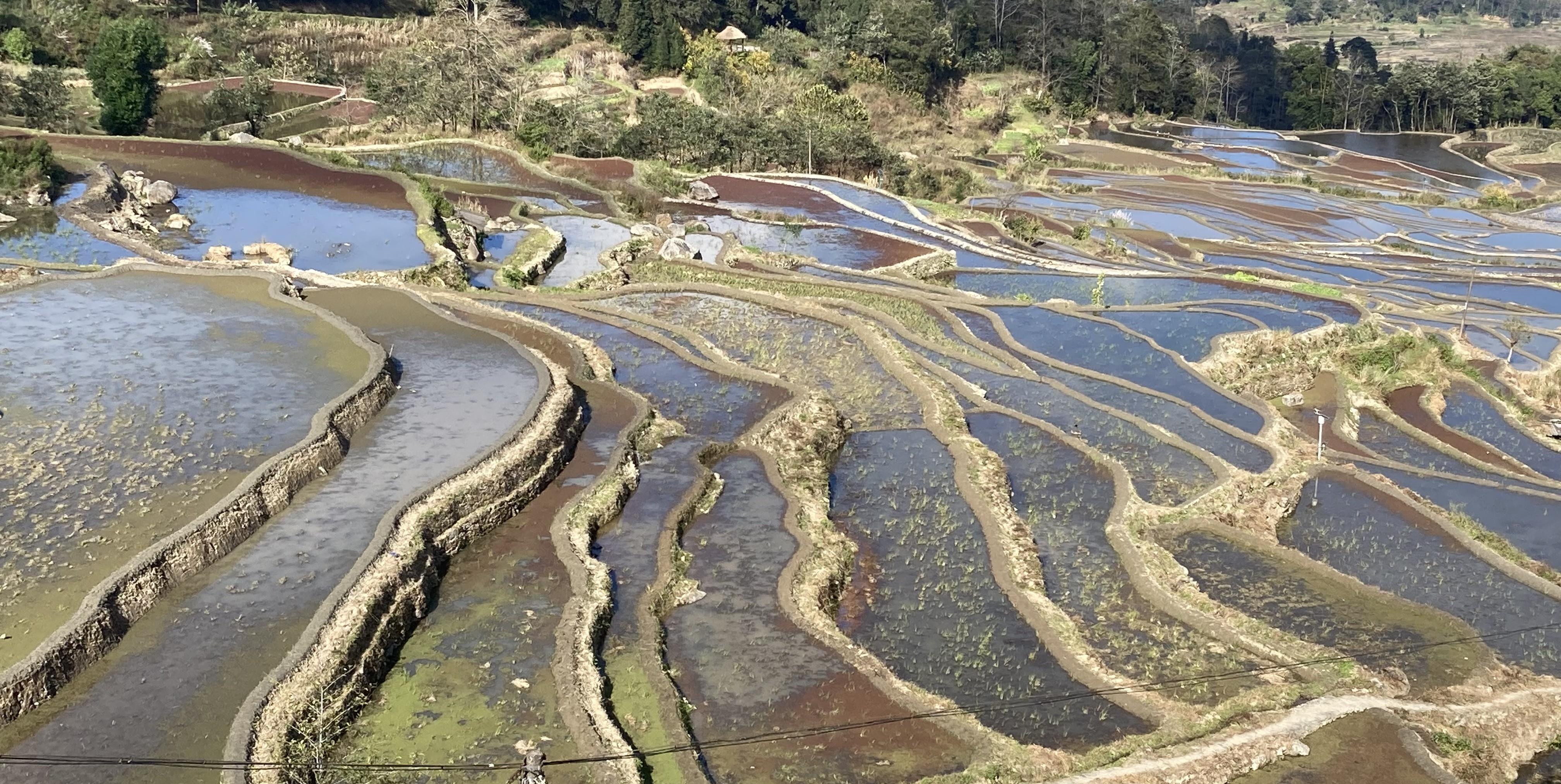 元阳哈尼梯田各不雅景台美景之-箐口不雅景点