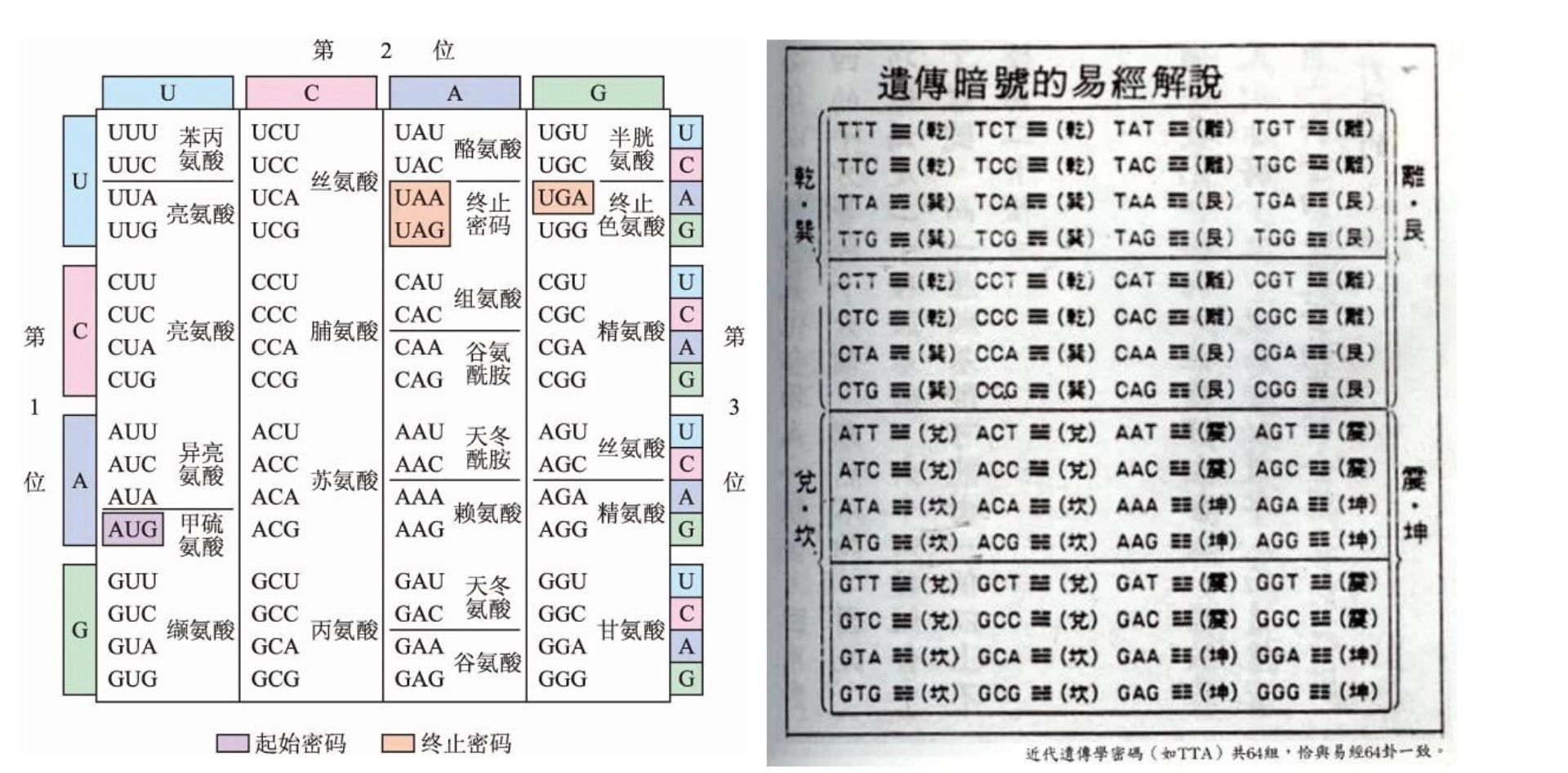 弄清晰“医易同源”的意思，才气实正感触感染中医的魅力！