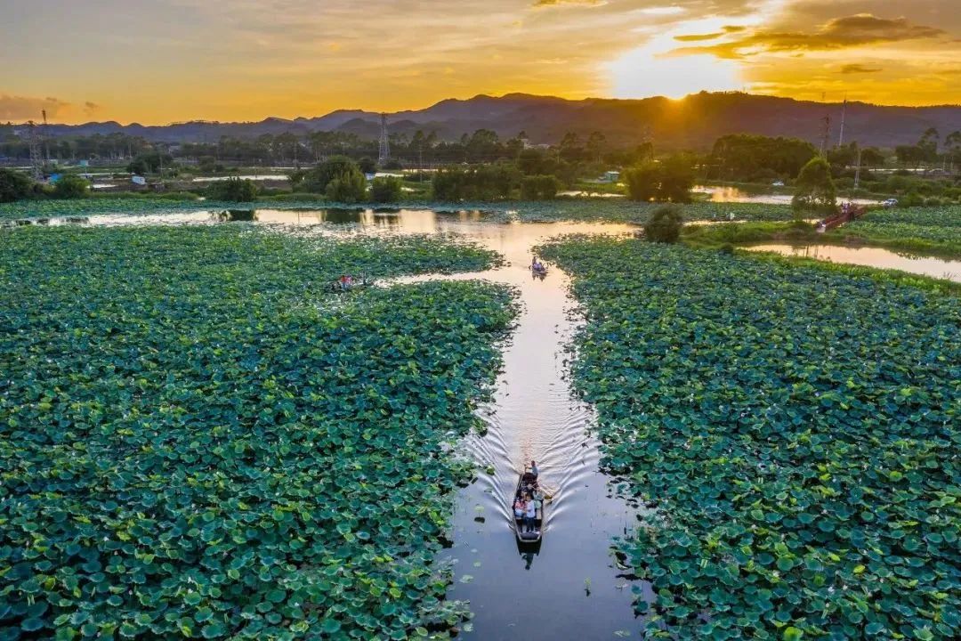 ԭ������쭡����������ĵģ���������С���Ǳ��͹������� ...