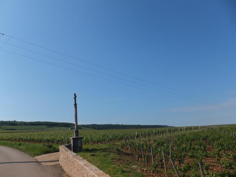 ������-ʥ-ά��԰����ӯ����֮��