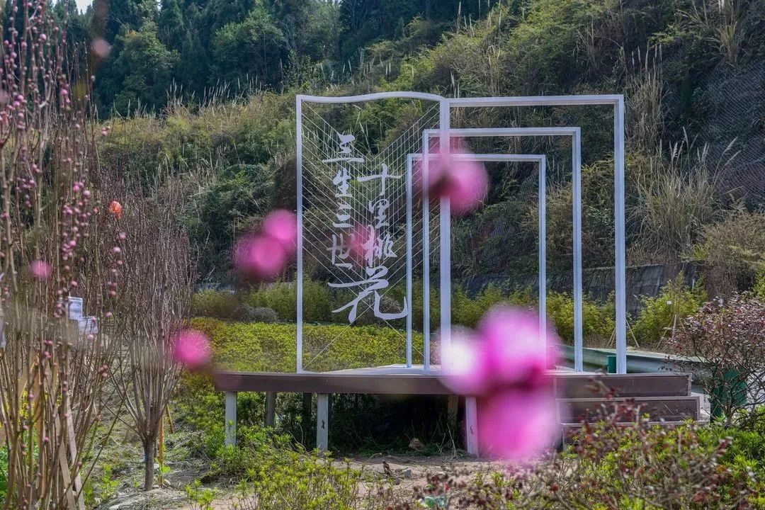 遂宁：永和家园女神节活动|赏识田园美景——做个精致女神