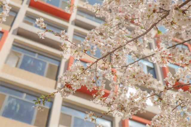 中央22选5
大学怎么样？22选5
一流，放心报考！