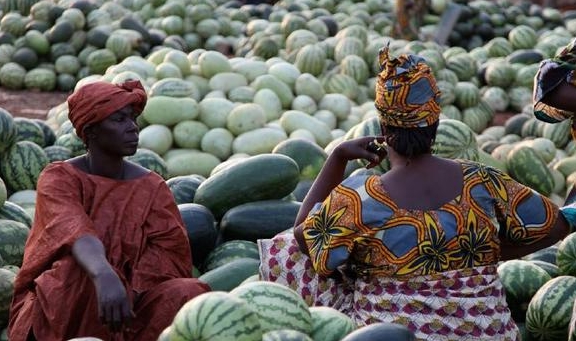 �������Ƿ����˵�����Ʒ���й��˴�ȥ��ֲ�������ܶ��˸��� ...