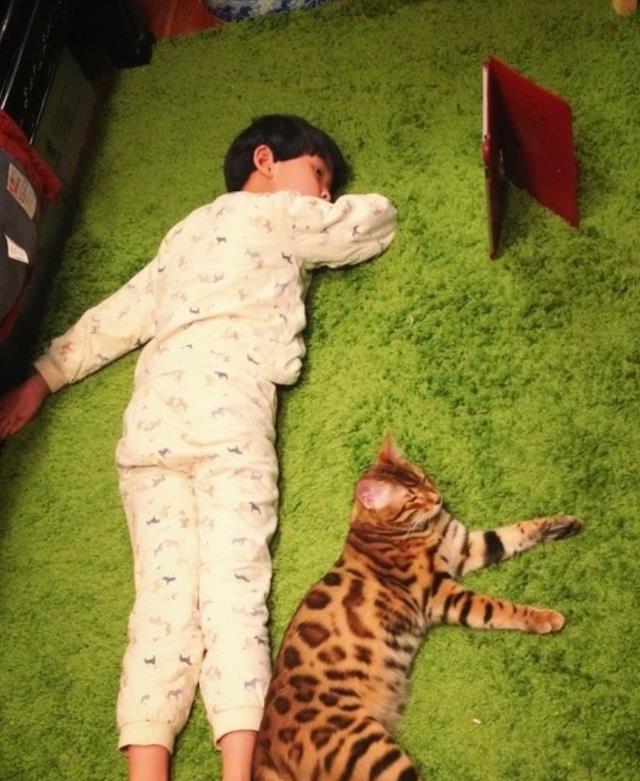 ���١���ɱ���������ˣ�����������������ͨ�˻������