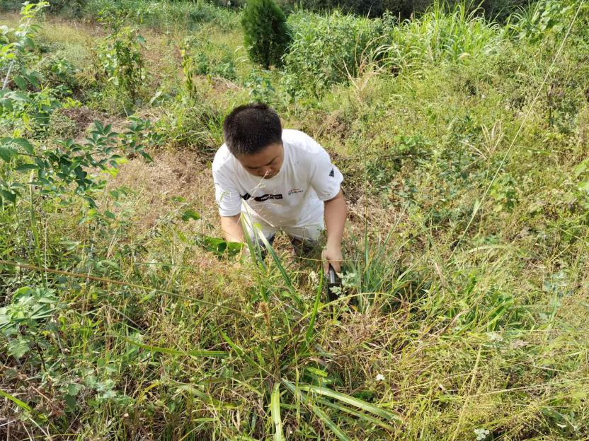 虚心竹有垂头叶 傲骨梅无仰面花 ——寻访黔东南民间用药经历 凯里 唐欿