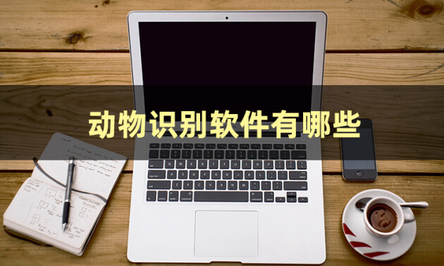 成都最大借卵公司（好用的动物识别软件有哪些呢？）