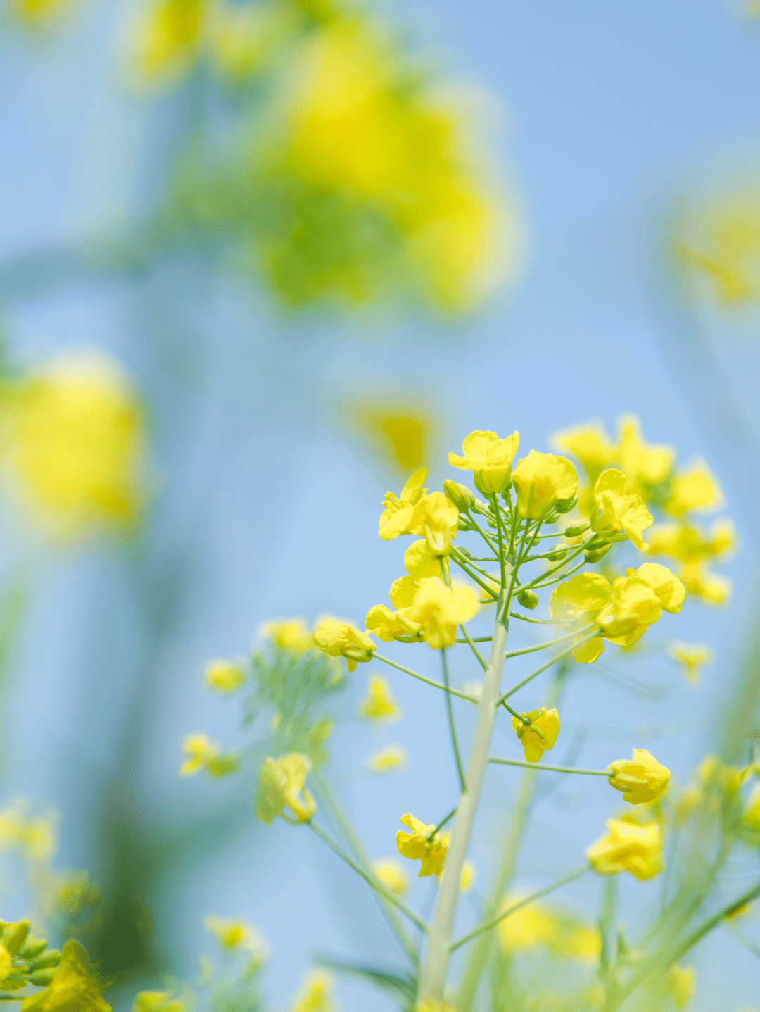 摆设！女神节组团畅玩星沙，奔赴春天的所有美妙~