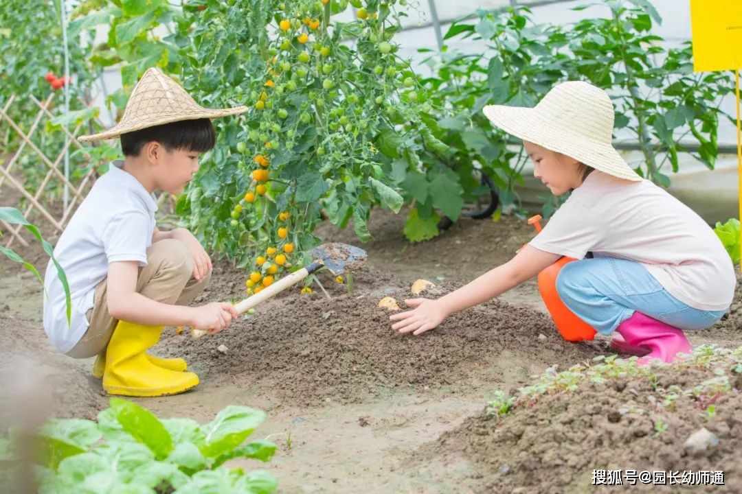 幼儿园植树节主题活动计划，小中买办都有！看到的幼师都保藏了！