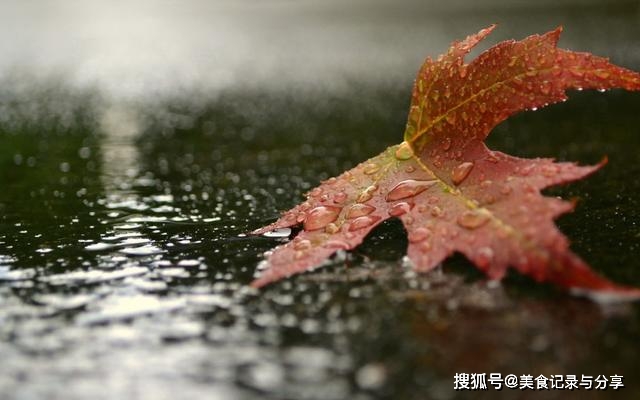 今日立秋，立秋呈现打雷下雨，有什么征兆吗？看看前人留下的谚语