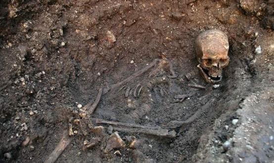 �����������ʬ��Ϊ�λ���ʬ��Ұ������������Ԥı�������� ...