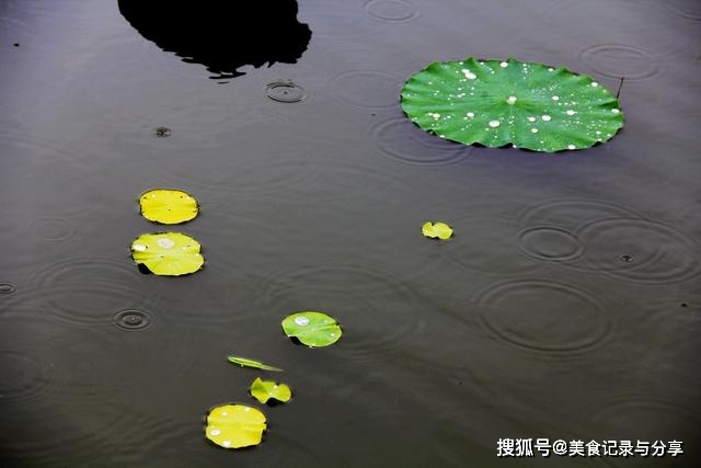 今日立秋，立秋呈现打雷下雨，有什么征兆吗？看看前人留下的谚语