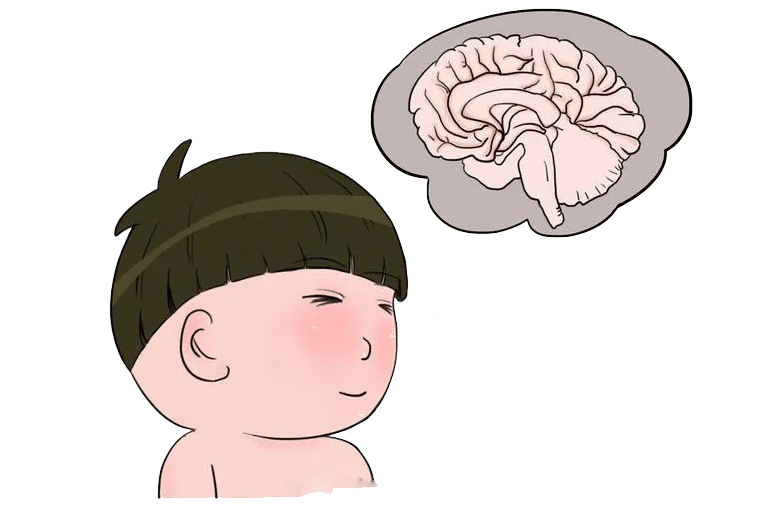DHA寶寶什么時(shí)候吃最好？哪個(gè)牌子適合嬰兒補(bǔ)充DHA？