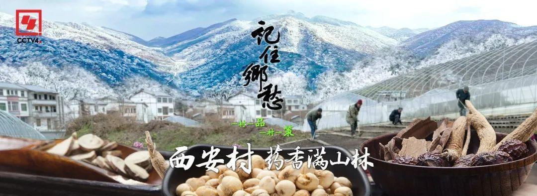 西安批发药材的地方?