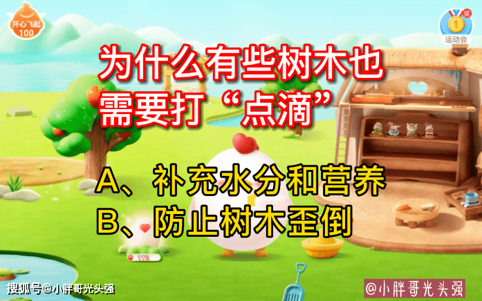 为什么有些树木也需要打“点滴”？蚂蚁庄园小常识