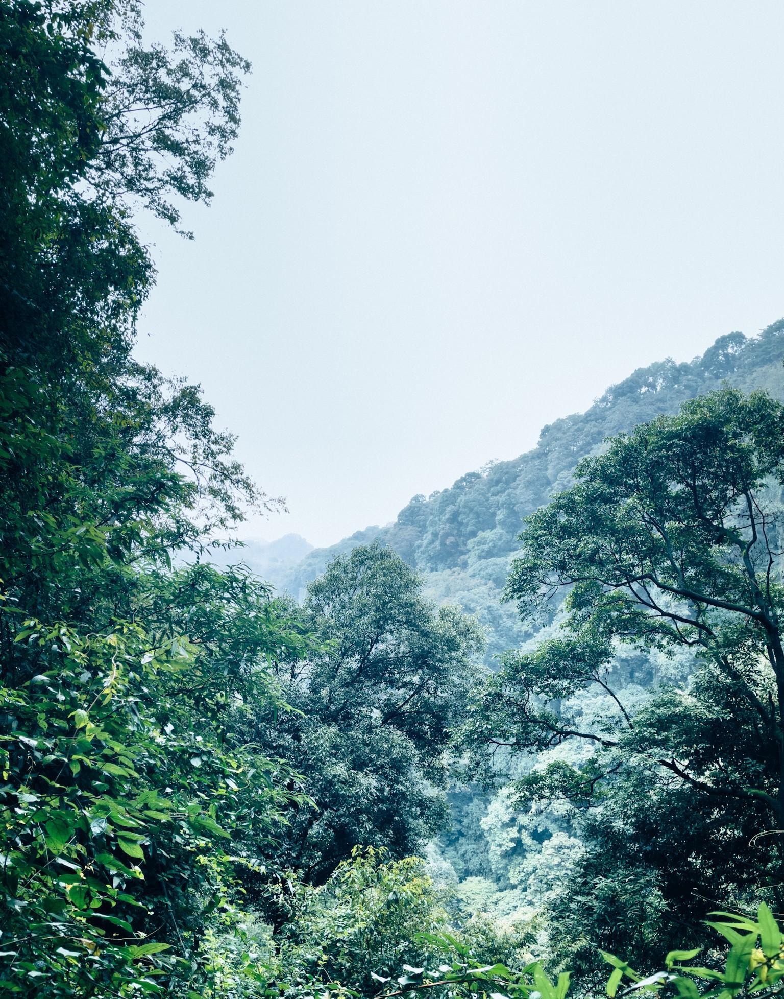 成都青城全国幽，游前山仍是后山，到底怎么选？