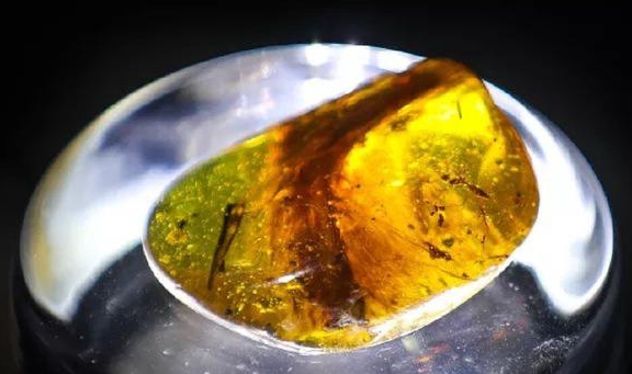 �����ս���У����غ��鱦�̣�������ȫ���׸��������껯ʯ ...