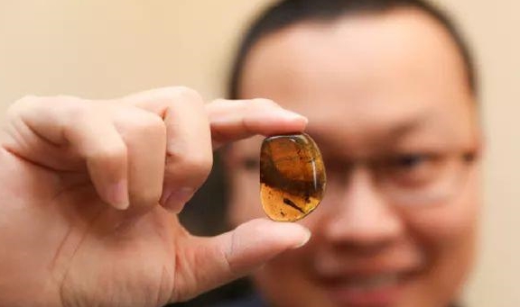 �����ս���У����غ��鱦�̣�������ȫ���׸��������껯ʯ ...