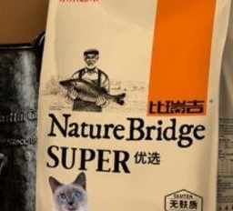 猫咪发腮吃啥，怎么能让猫咪发腮