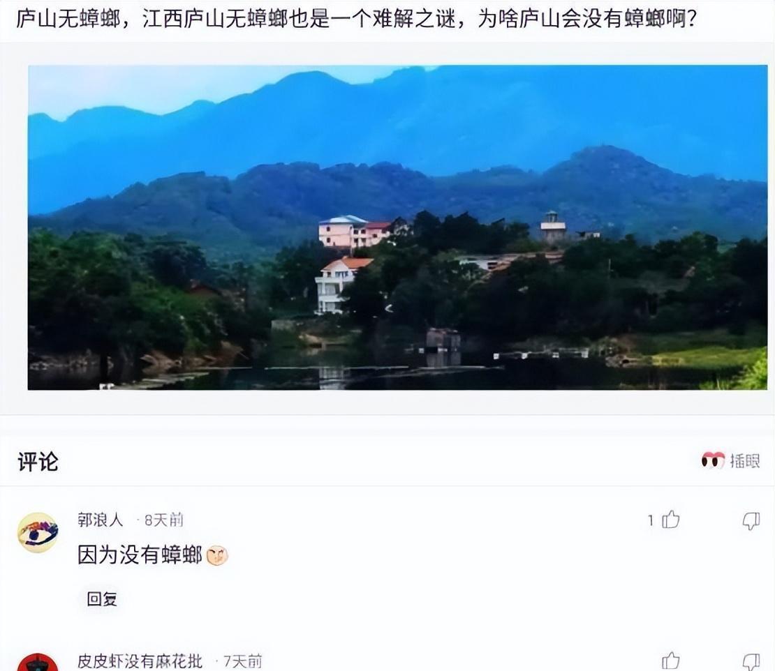 “回家的路上看见的，我如今很慌，该怎么办啊？”哈哈哈