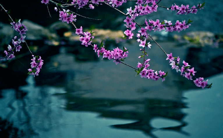 【原创诗词】周嗣远 | 酒至三巡人未醒，梅香桃艳李花馨（诗词十四首）