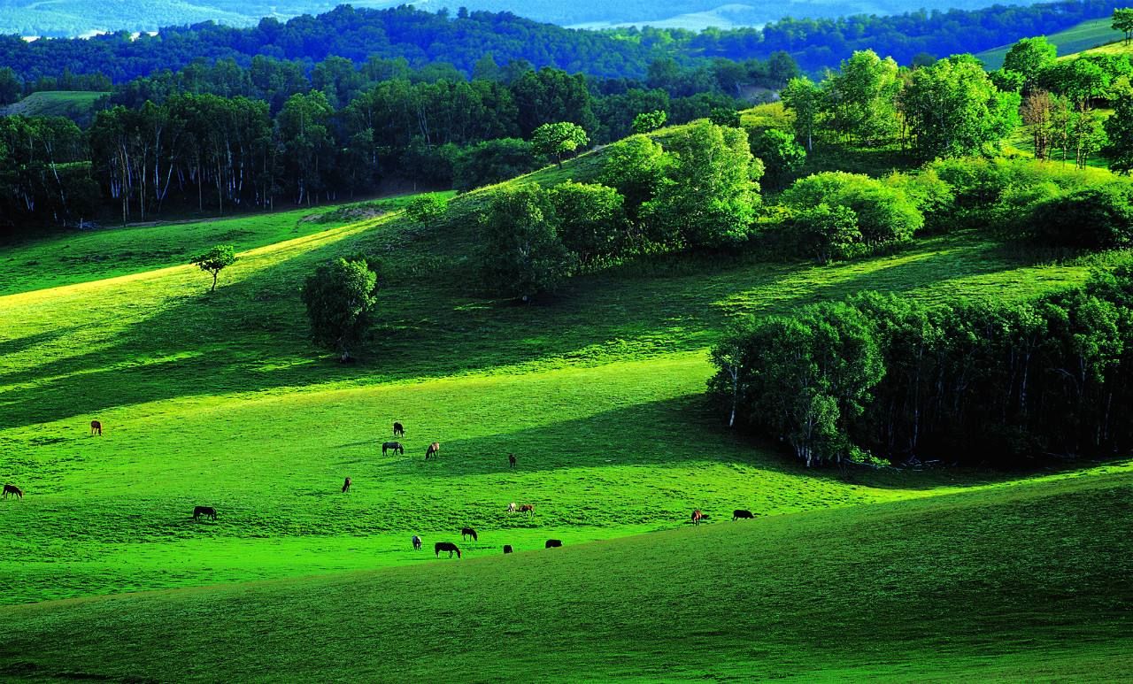 ������ô����ȥ�������ٵȾ�����