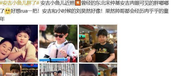 安吉小鱼儿变胖了，东北的宋仲基成了童年版的刘昊然，公然帅哥都是如许的