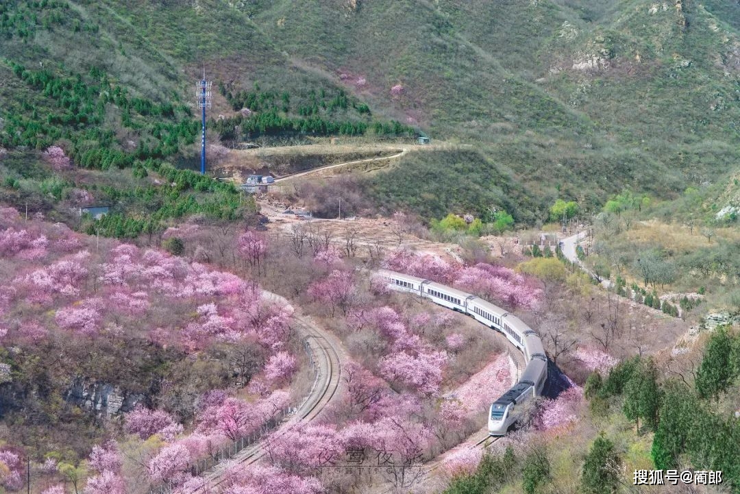 不消去日本！中国也有开往春天的列车，只要6元钱，就能穿越花海