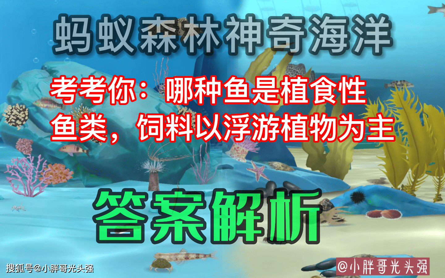 哪种鱼是植食性鱼类，饲料以浮游动物为主？蚂蚁丛林奇异海洋