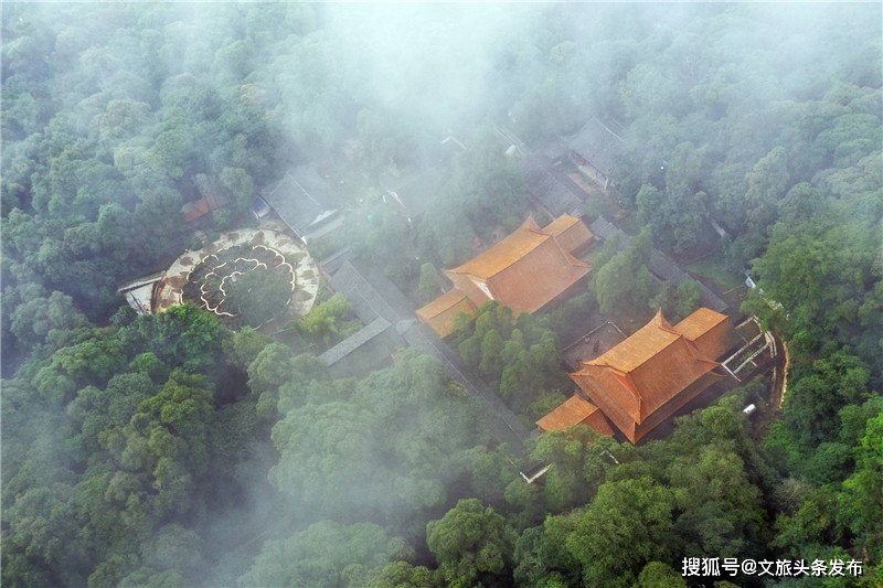 3月25日 玩转武定牡丹文化旅游节