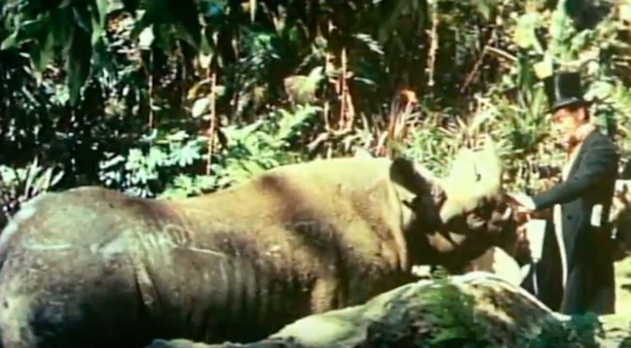 ��������ҽ��������γ�Ϊһ������ֱ�ٵ�20���͸���˹��Ӱ ...