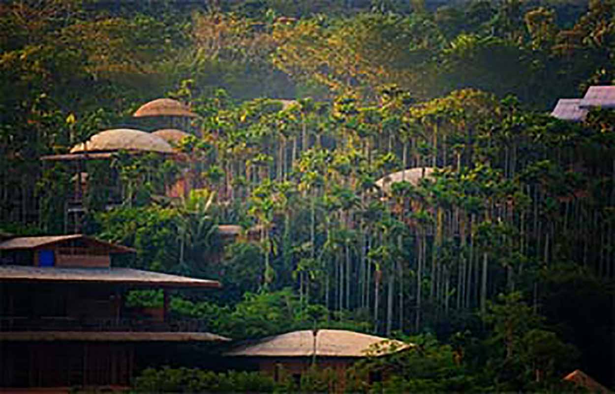 来一场春日里说走就走的游览——海南五日游仅需888元！