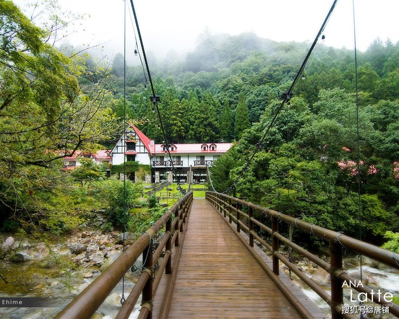 �ĸ�����ѧ���£�ϣ�����������˼��