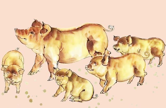 春回大地打一个生肖打一种生肖，结果马上揭晓落实