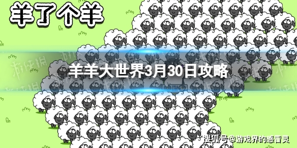 羊了个羊3.30怎么快速通关 羊了个羊3.30关卡通关攻略一览